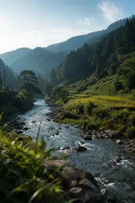 Peaceful River Through Evergreen Valley