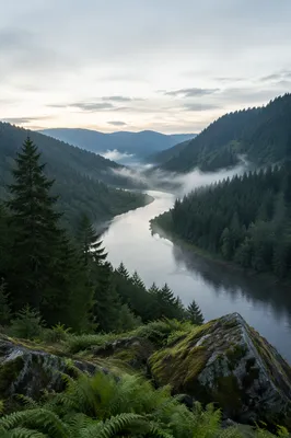 Peaceful River Through Evergreen Valley