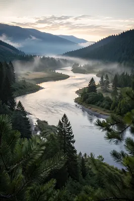 Peaceful River Through Evergreen Valley Dawn