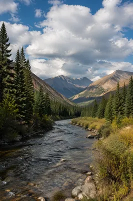 Peaceful River Through Evergreen Mountain Valley