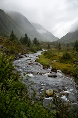 Peaceful River Through Evergreen Mountain Valley