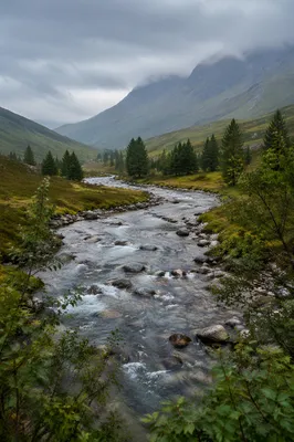 Peaceful River Through Evergreen Valley