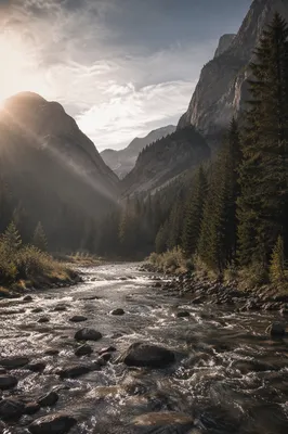 Peaceful Alpine River Through Evergreen Valley