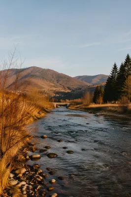 Peaceful River Valley with Evergreen Hills