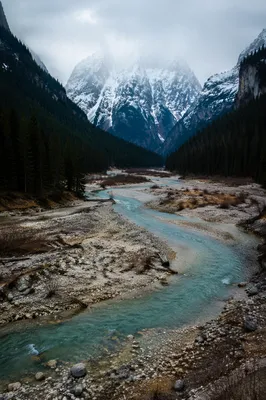 Peaceful Turquoise River Through Evergreen Valley