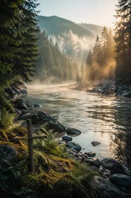 Peaceful Evergreen Valley River at Dawn