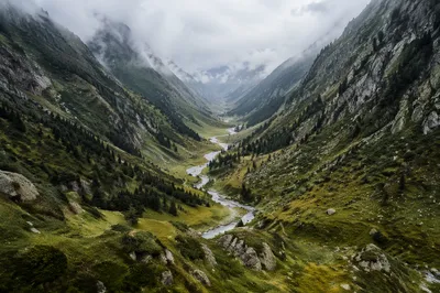 Peaceful River Through Evergreen Mountain Valley