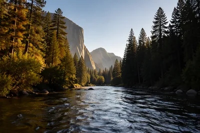 Peaceful River in Evergreen Mountain Valley