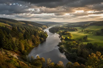 Peaceful River Valley Under Evergreen Clouds