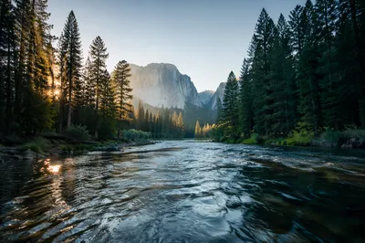Peaceful River Through Evergreen Valley