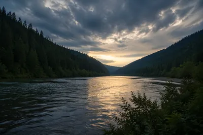 Peaceful River Through Evergreen Valley