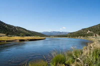 Peaceful River Through Evergreen Valley