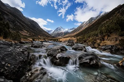 Peaceful Mountain River Through Evergreen Valley