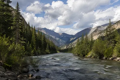 Peaceful River Through Evergreen Mountain Valley