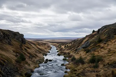 Peaceful River Through Evergreen Valley
