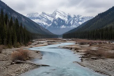 Peaceful Evergreen Valley River and Snowy Mountains