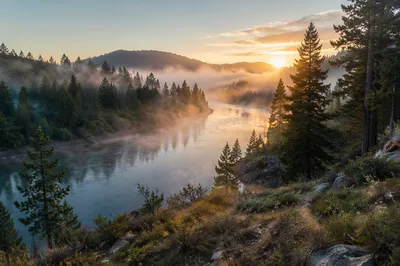 Peaceful Evergreen River Valley at Sunrise