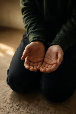 Evergreen Prayer Hands in Quiet Surrender