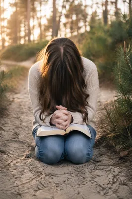 Quiet Prayer on Evergreen Woodland Path
