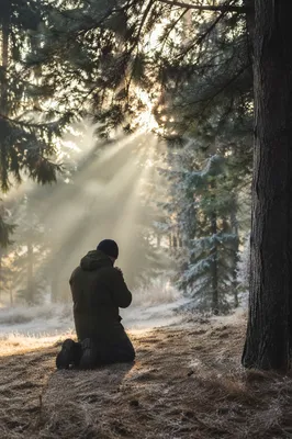 Kneeling Prayer in Misty Evergreen Forest