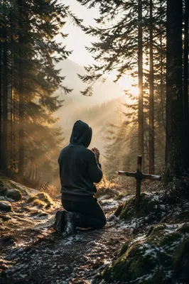 Kneeling Prayer Beneath Evergreen Dawn Light