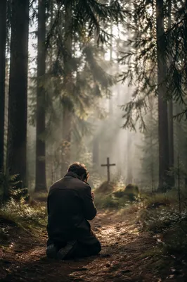 Kneeling Prayer Beneath Misty Evergreens