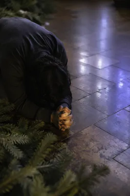 Humble Prayer Beside Evergreen Branches