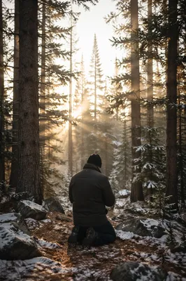 Kneeling Prayer in Evergreen Winter Forest