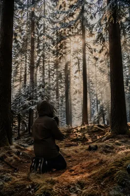 Kneeling Prayer in Evergreen Forest