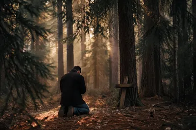 Kneeling Prayer Beneath Evergreen Morning Light