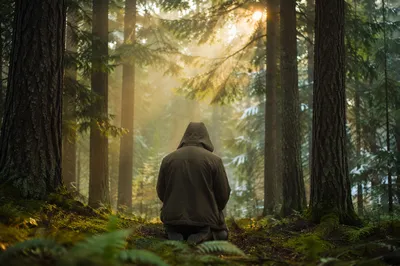Kneeling Prayer Beneath Evergreen Trees