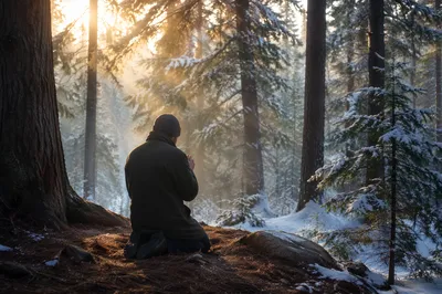 Kneeling Prayer in Misty Evergreen Forest