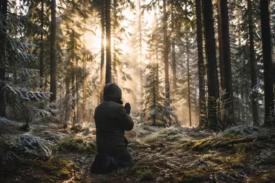 Kneeling Prayer in Evergreen Forest