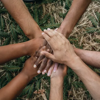 Prayer Circle Hands in Evergreen Light