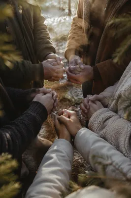 Prayer Circle Hands Beneath Evergreens