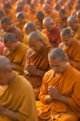 Outdoor Prayer Group in Saffron Robes