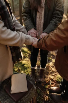 Prayer Group Holding Hands in Evergreen Forest