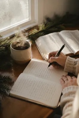 Morning Prayer Journal with Evergreen Light