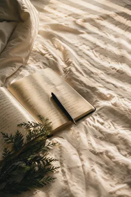 Morning Prayer Journal with Evergreen Sprig