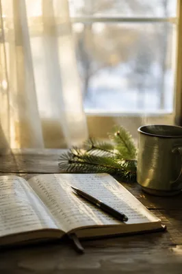 Morning Prayer Journal with Evergreen Sprig