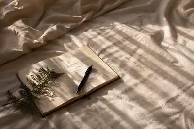 Morning Prayer Journal with Evergreen Sprig