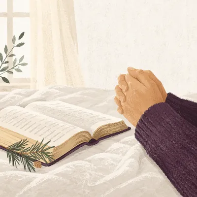 Praying Hands Beside Bible and Evergreen