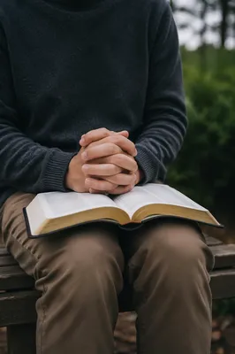 Praying Hands Over Open Bible Outdoors