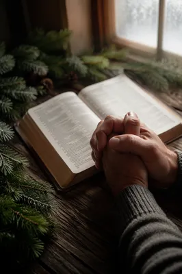 Praying Hands Beside Bible with Evergreen
