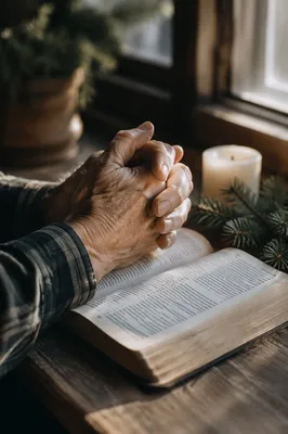 Praying Hands on Bible with Evergreen