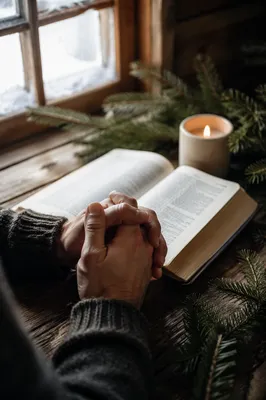 Praying Hands Beside Bible and Evergreens
