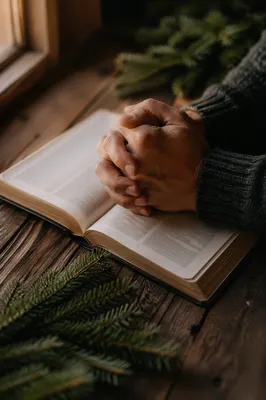 Praying Hands Over Bible With Evergreen
