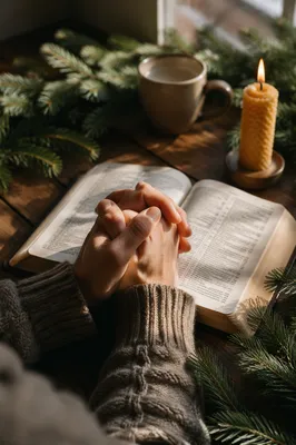 Praying Hands Over Bible With Evergreens