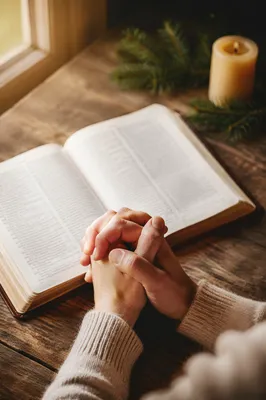 Praying Hands Beside Bible and Evergreen