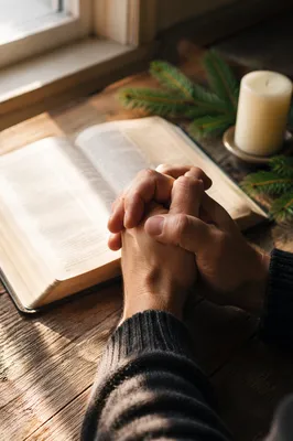 Praying Hands Beside Bible with Evergreen